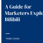 bilibili marketing in 2025