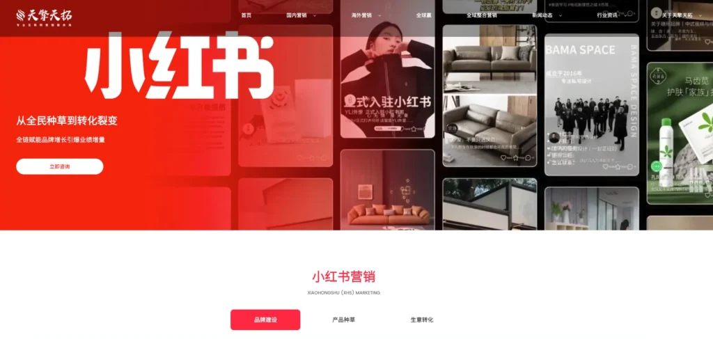 Xiaohongshu agencies for B2B list-Topsky